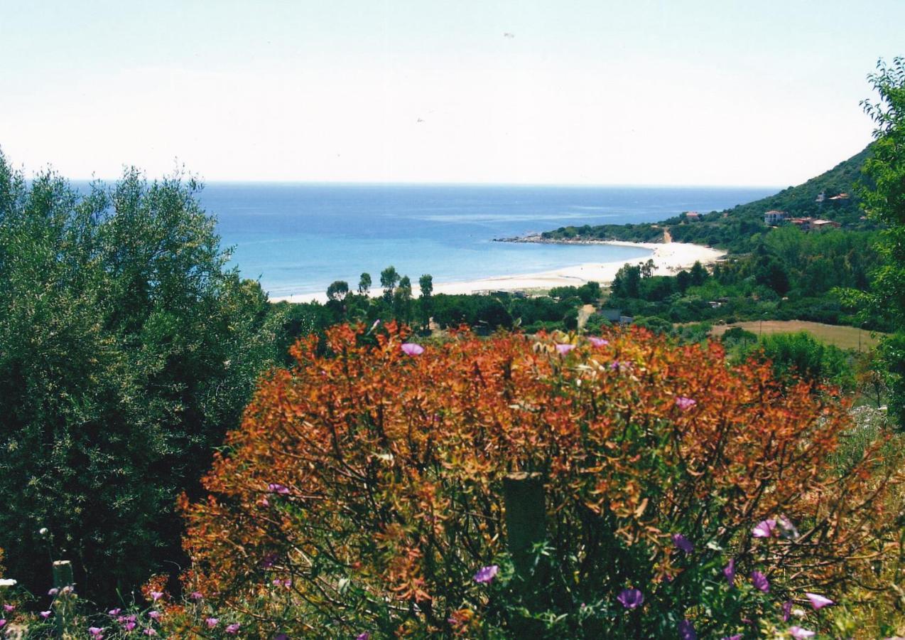 Casa Vacanza Lentisco D Sardegna Ogliastra Tertenia Exterior photo